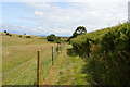 Path along the edge of Landport