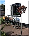 Bicycle by the Window