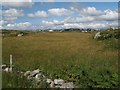 L7432 : Meadow view by Jonathan Wilkins