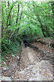 Stowey Hill near Pitney