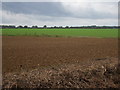 Fields off the A134