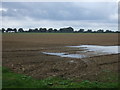 Flat farmland off the A134