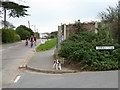 Dog and pedal cyclists by junction of Terrace and Gate Lanes