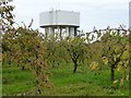 TL3675 : The "new" water tower in Bluntisham, Cambridgeshire by Richard Humphrey