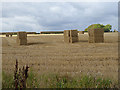 Square bales at Harelaw