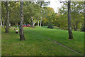 Yateley Country Park picnic area