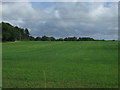 Farmland near Mill Farm