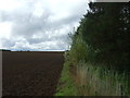 Farmland beside caravan site