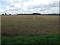 Stubble field off National Cycle Route 51