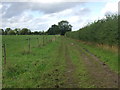 Farm track off Church Road, Tostock