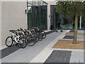 TQ2081 : Woodward Hall, Imperial College, entrance and bike rack by David Hawgood
