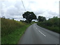 Minor road towards Buxhall Fen Street 