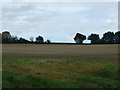 TL9758 : Farmland near Rattlesden by JThomas
