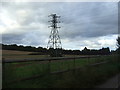 Pylon in farmland