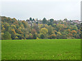 View towards houses on Chartridge Lane