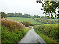 Lane descending to Pednor Bottom