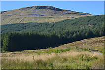NN3031 : View towards Beinn Udlaidh by Nigel Brown
