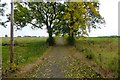 Track to East Thinacremuir