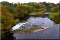 Avon Water at Millheugh