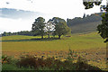 Farmland at Upper Strowan