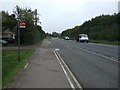 Bus stop on Newmarket Road (A1303)