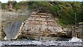 ST1043 : The cliffs at St Audries Bay by Oliver Mills