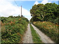 View north along the Dunnywater Track