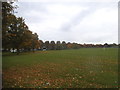 Purley Way playing fields