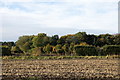SD3717 : Woodland near Wyke Hey Farm, Churchtown Moss by Mike Pennington