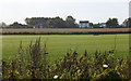 Turf at Snape Green, Scarisbrick