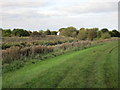 By the River Hull at Weel