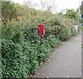 Red postbox in greenery, Rooksmoor