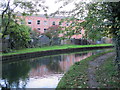 The New River west of The Paulin Ground (3)