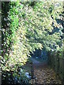 Path by the New River south of Beaulieu Gardens, N21