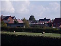 Ash Tree Fields under construction