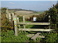 SZ4977 : Junction of bridleway and footpath north west of Niton by Shazz