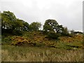 Longworth Clough