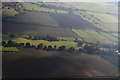 Old enclosure marks in fields on the eastern edge of Hallington:aerial 2015