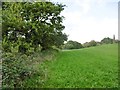 Tatchbury, footpath