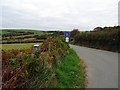 On the Welsh Coast Path