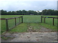 Field entrance near Little Farm