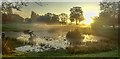 Bradmore Pond In Mist