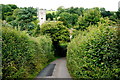 Lane to Membury Village 