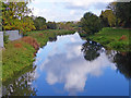 River Witham at Bracebridge