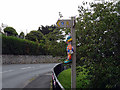 Knitted clowns are not tolerated in Llwyngwril!