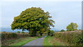 Oaks by Tremorithic Road