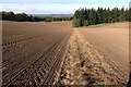 Farmland near Horningsham