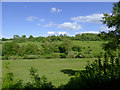 Farmland south-east of Highley, Shropshire