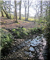 Stream, Buckham Hill