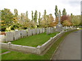 TQ3574 : Salvation Army Graves at Camberwell New Cemetery by Marathon